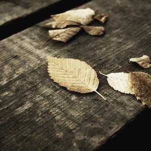 色欲AⅤ精品无码一区二区
